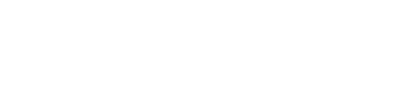 NightHawk Logo